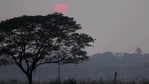 Red sunrise above tree canopy in misty countryside Stock Footage 326988092