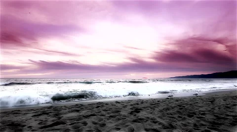 Red Sunset Beach with seagulls No. 2 Stock Footage 48318906