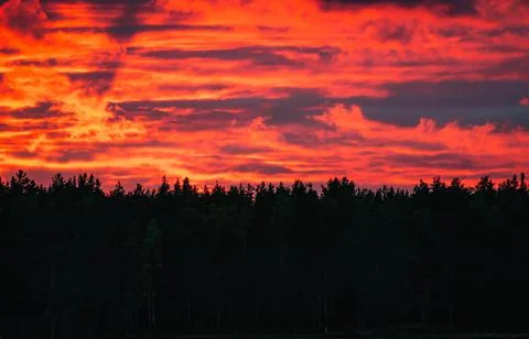 Red sunset with clouds over dark forest Stock Photos