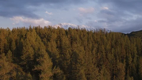 Red sunset. flight from the forest to the snow-capped mountains. 4K Stock Footage 126721303