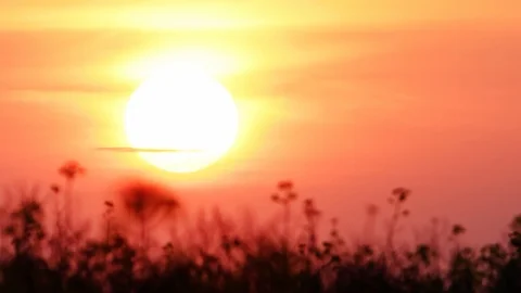 Red sunset Stock Footage 100663426