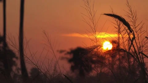 Red Sunset Stock Footage 138866233