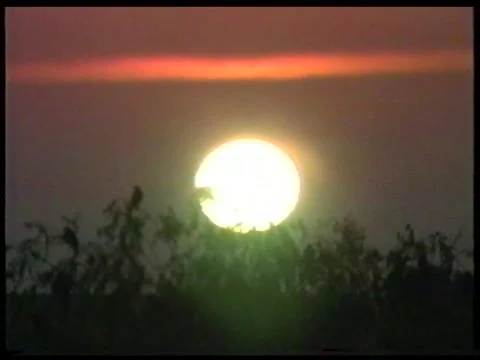 Red Sunset Stock Footage 340541772