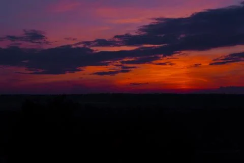 Red sunset forest landscape Foto stock