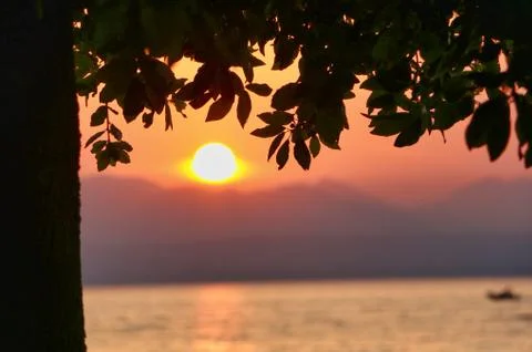 Red sunset framed by the silhouette of a tree Stock Photos