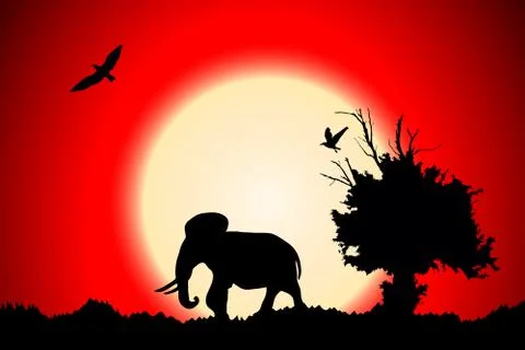 Red sunset in the jungle with old tree, birds and elephant Stock Illustration