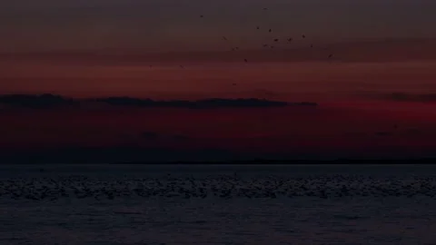 Red Sunset Landscape (4k) Stock Footage 172270552