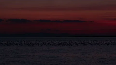 Red Sunset Landscape (4k) Stock Footage 172270604