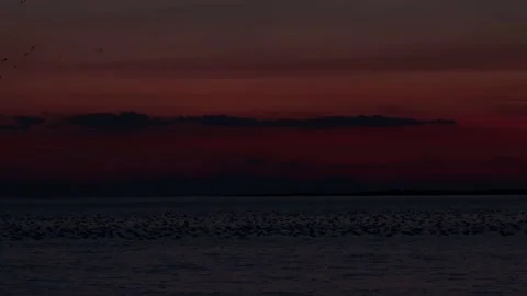 Red Sunset Landscape (4k) Stock Footage 172270822