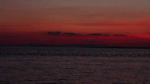 Red Sunset Landscape Stock Footage 172270942