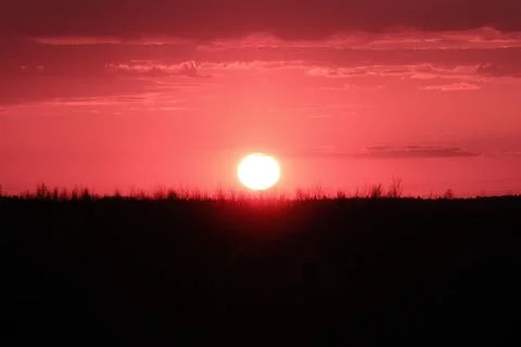 Red sunset over the field Stock Photos