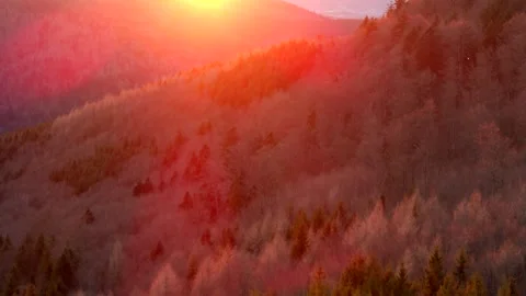 Red sunset over a forest in mountains aerial shot Stock-Footage 260334661