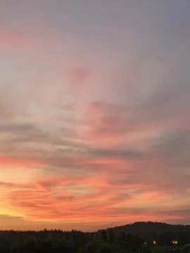 Red sunset over forest. Vertical background for design. Nature, sky with clouds Stock Photos
