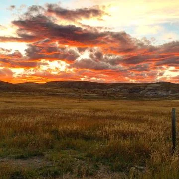 Red Sunset over Golden Fields in Montana Stock Photos