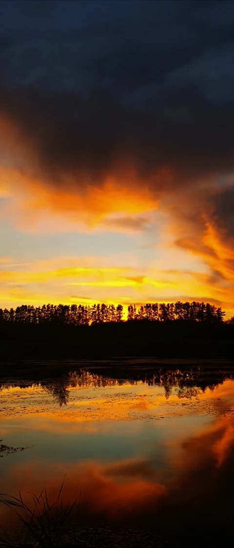 Red sunset over the lake Video stock 158991807
