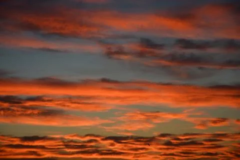 Red sunset Stock Photos