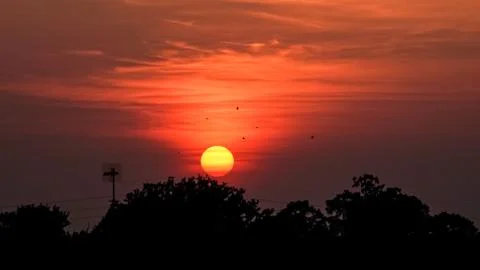  Red Sunset Stock Photos