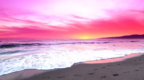 Red sunset seagull beach No.3 Video stock 48338884
