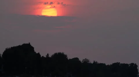Red Sunset with Seagull in Foreground Stock Footage 57717346