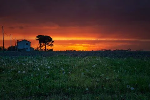 Red sunset sky Stock Photos