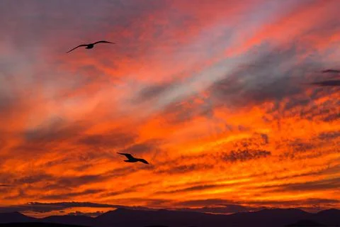 Red sunset on the sky Stock Photos