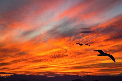 Red sunset on the sky Stock Photos