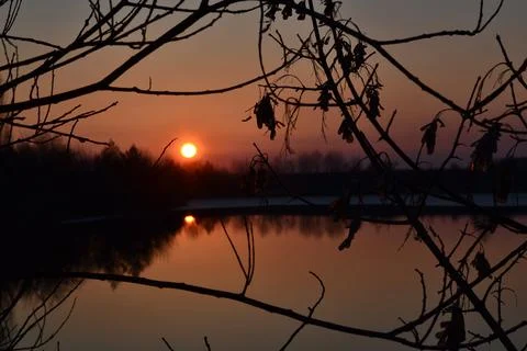 Red sunset through tree branches over water Stock Photos