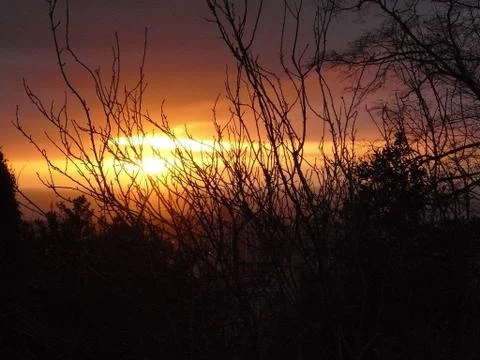 Red sunset in the trees Foto stock