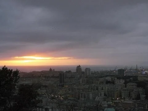 Red sunset in the trees Stock Photos