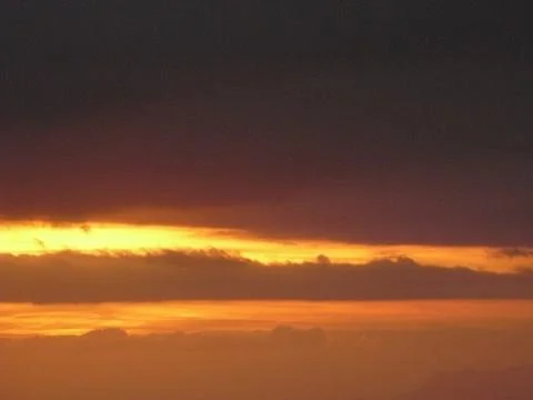 Red sunset in the trees Stock Photos