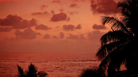 Red sunset on the tropical coast Video stock 31740059