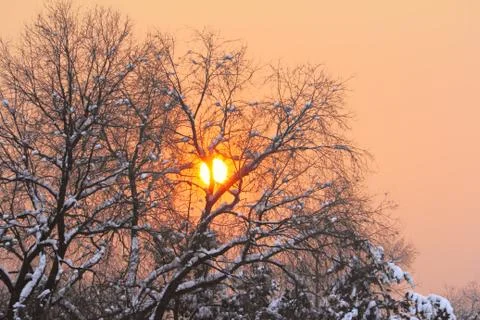 Red sunset at winter Foto stock