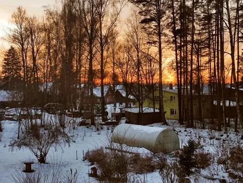 Red sunset in the yard Stock Photos