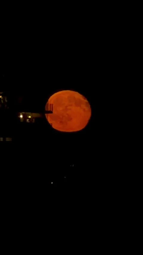 Red super moon close up glowing against black night sky above building silho Stock Footage 344751643