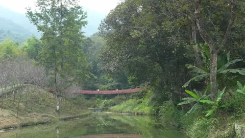 Red Suspension Bridge Over Calm River in Misty Rural Forest, China Stock Footage 330406124