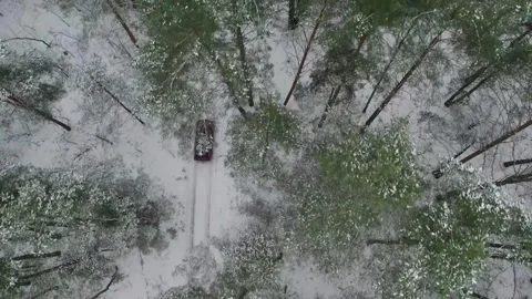 Red SUV car driving through snowy forest among trees 스톡 동영상 276914391