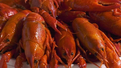 Red swamp crayfish, table setting 4K zoom out Video stock 67590866