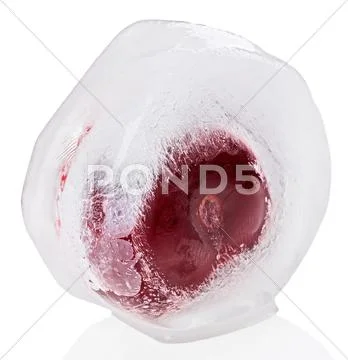 Red sweet cherry inside of melting ice cube, isolated on white Stock Photos