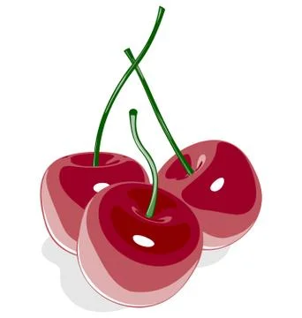 Red sweet cherry isolated on white Stock Illustration