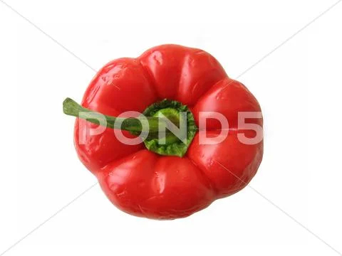 Red sweet pepper Stock Photos