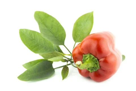 Red sweet pepper Stock Photos