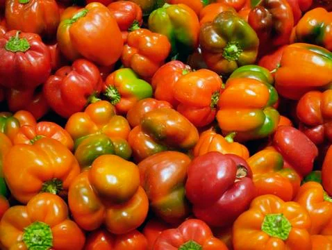 Red sweet pepper Stock Photos