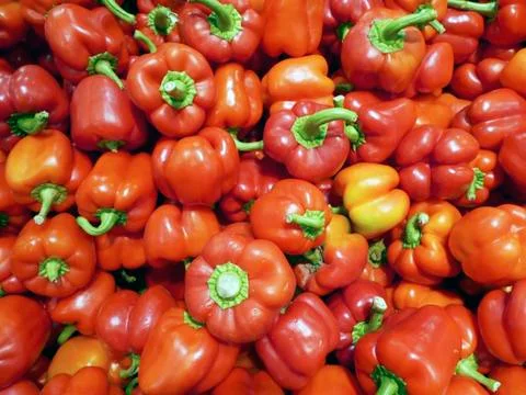 Red sweet pepper Stock Photos