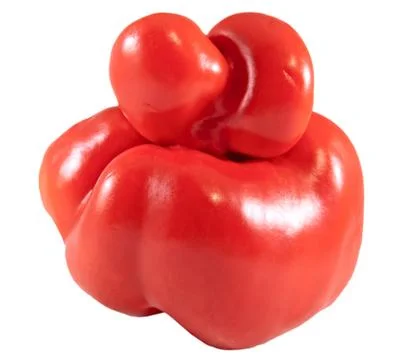 Red sweet pepper Stock Photos