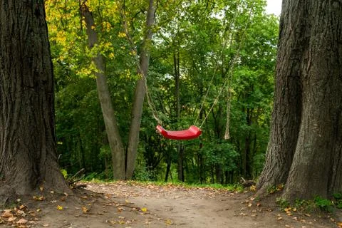Red swings in between two trees in the woods, fun outdoor activity Stock Photos