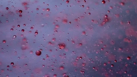 Red Swirling Micro Bubbles Stock-Footage 84144489