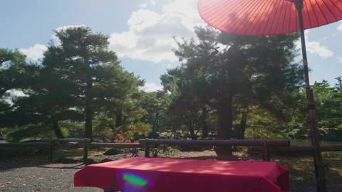 Red table, red parasol and sunshine Stock Footage 162016497
