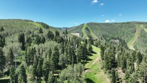 Red Tailed Hawk Circles Mountain for Prey Stock Footage 341149096