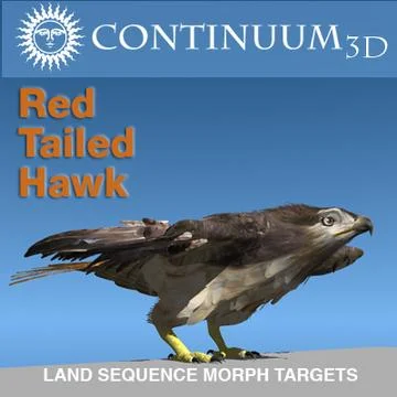 Red Tailed Hawk - Landing Morph sequence 3D Model