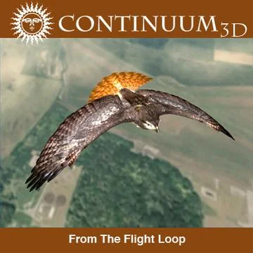 3D Model: Red Tailed Hawk - Landing Morph sequence #91489371